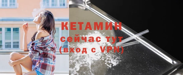 гашик Чегем