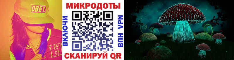 Псилоцибиновые грибы Magic Shrooms мега как войти Красный Холм